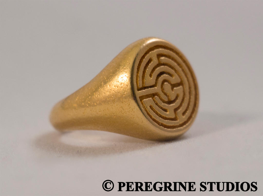 labyrinth_ring___stainless_steel_by_peregrinestudios-d64prxn.jpg