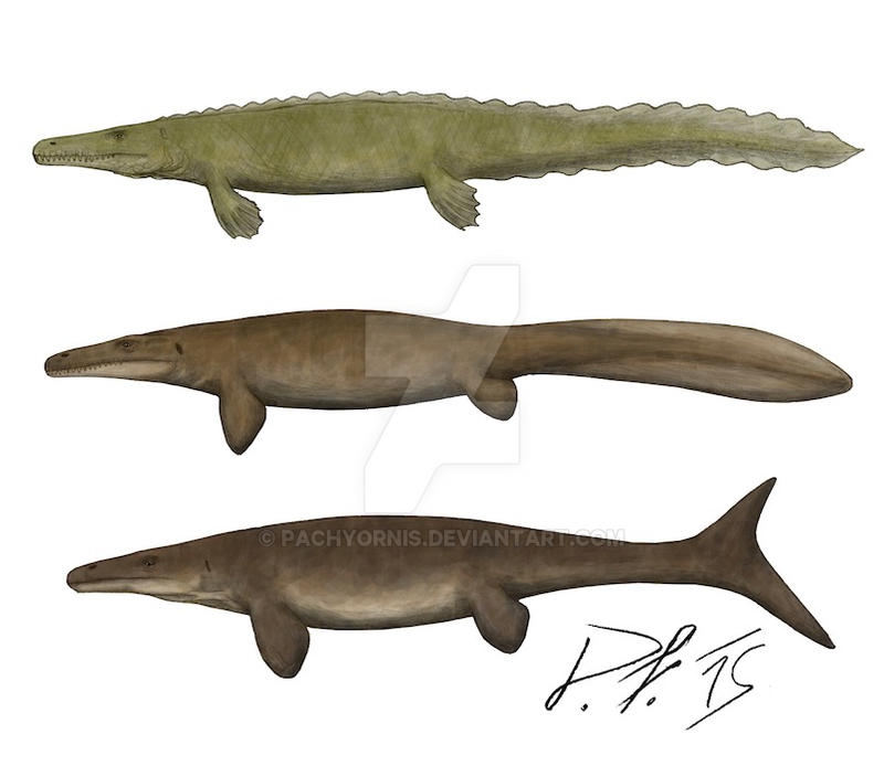 mosasaurs__now_and_then_by_pachyornis-d96fcch.jpg