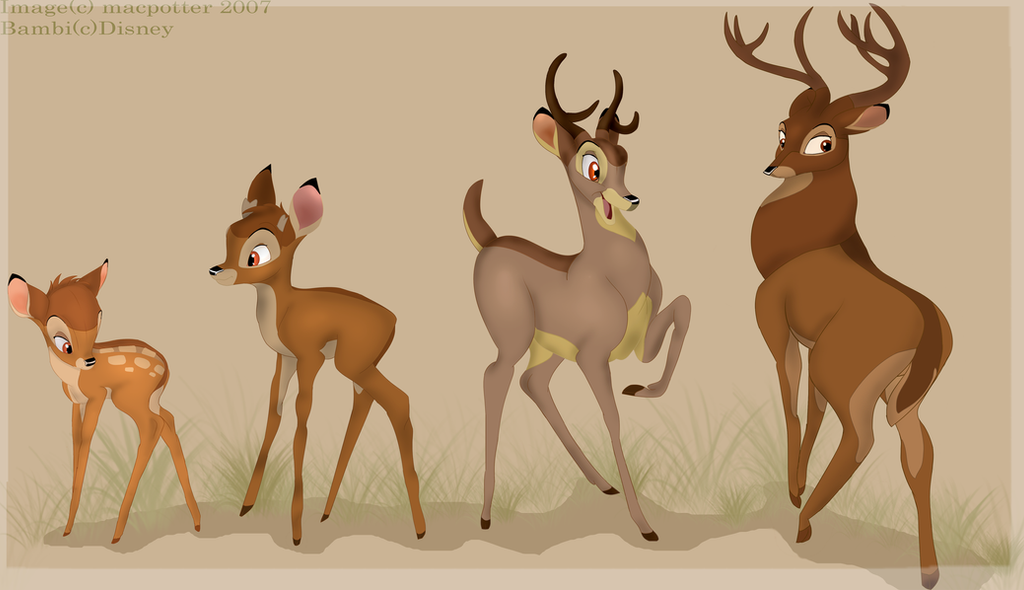 a_deer__s_development_by_macpotter.png (1024×590)