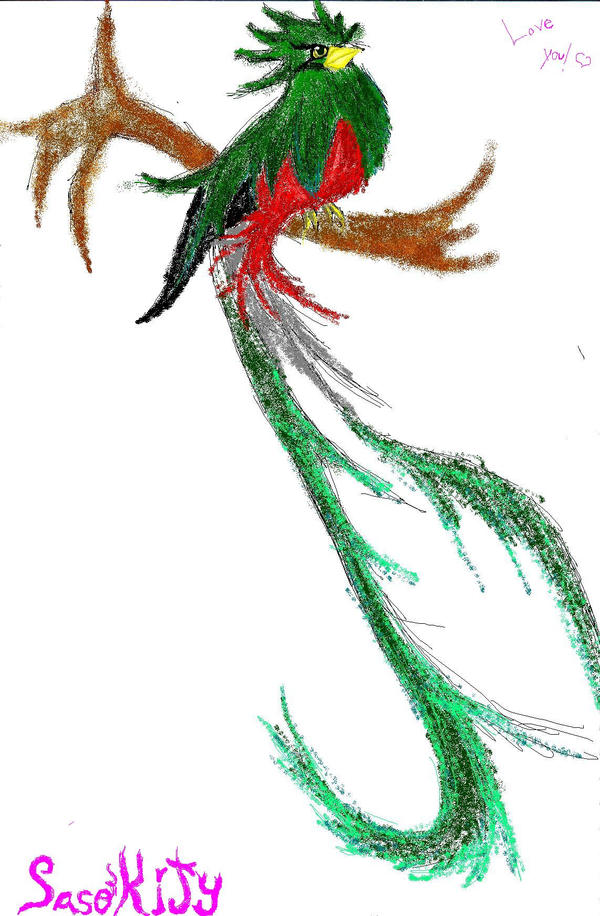 quetzal_bird_by_sasokity