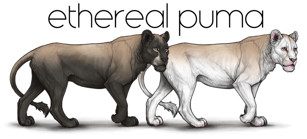 ethereal_puma_by_usbeon-dbmiq9l.png