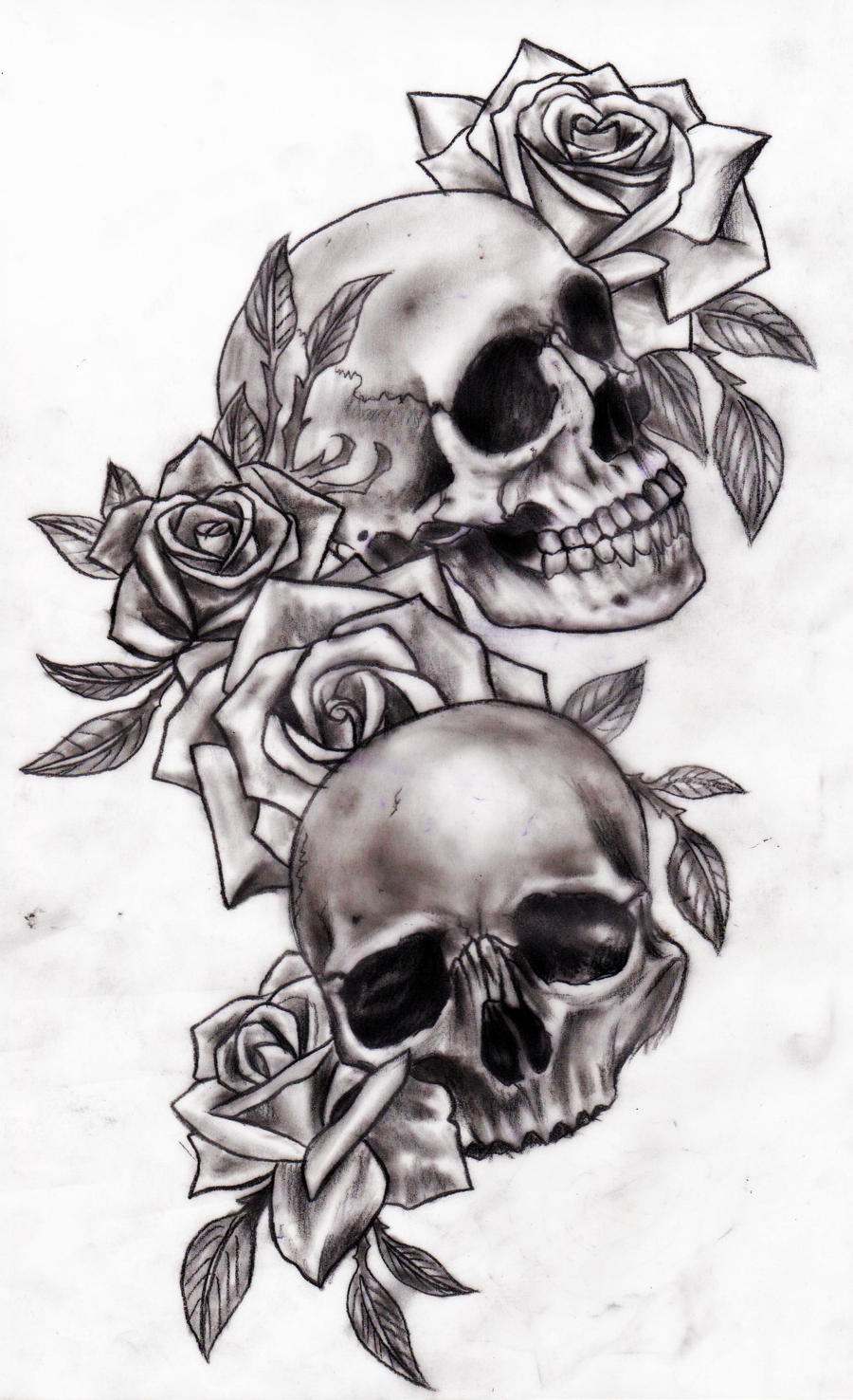 Skull and roses by CalebSlabzzzGraham on DeviantArt