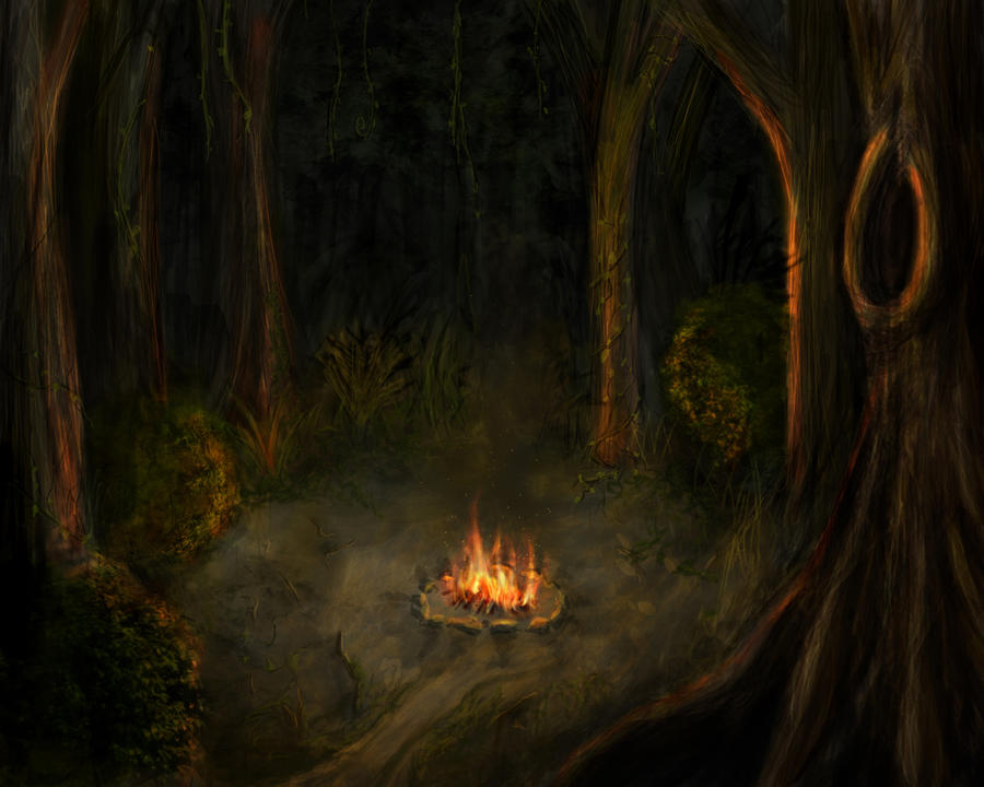 http://img09.deviantart.net/b345/i/2009/320/1/c/campfire_in_the_forest_by_such_a_dreamer.jpg