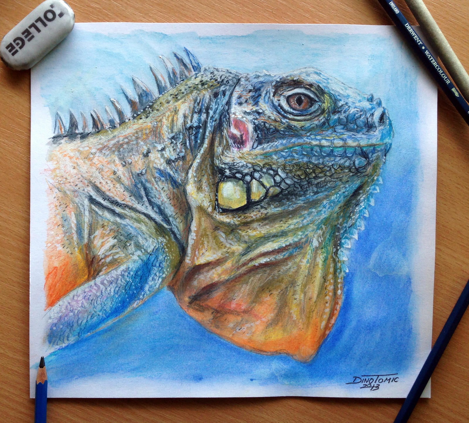 Lizard Color pencil Drawing by AtomiccircuS on DeviantArt