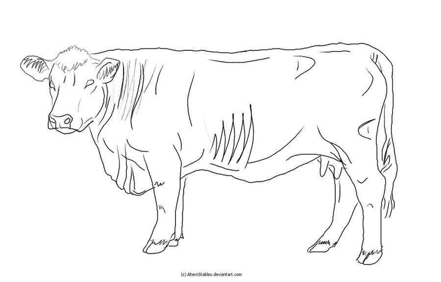Old Hereford cow lineart 2 by AhernStables on DeviantArt